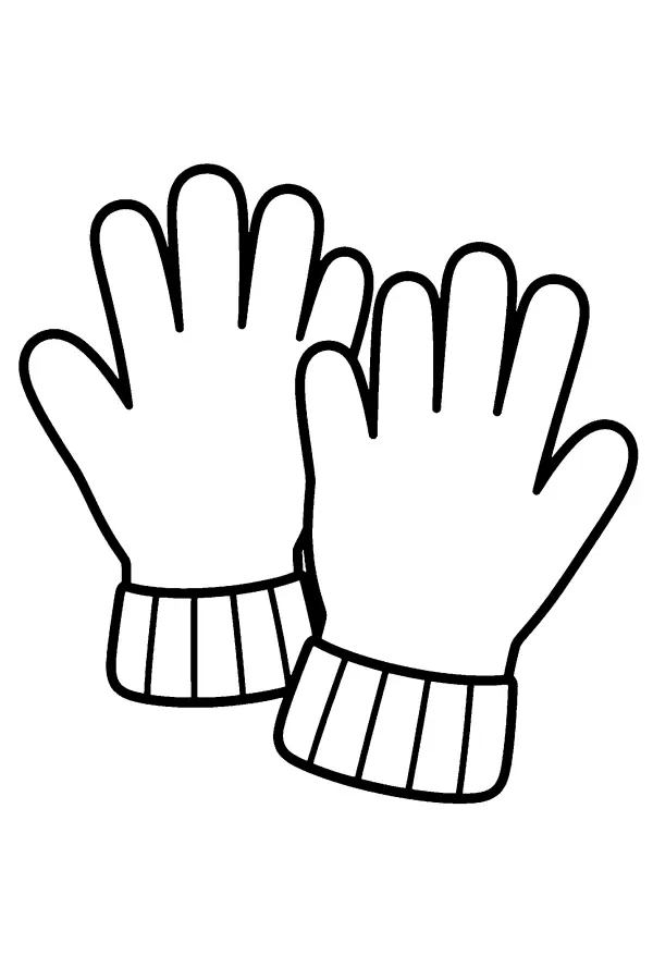 Pair Of Gloves