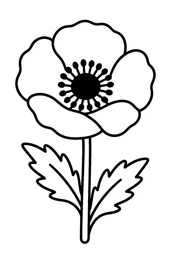 Remembrance Poppy