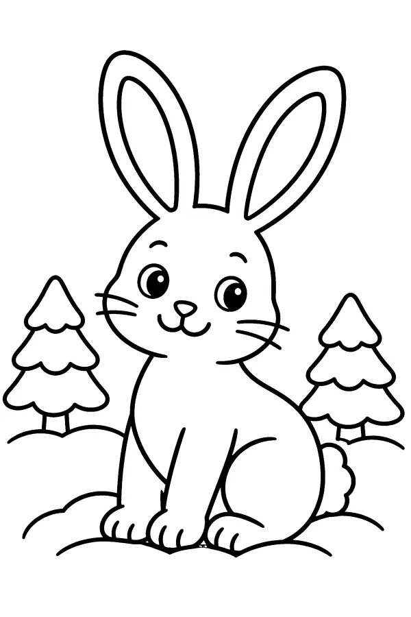 Snowy Bunny