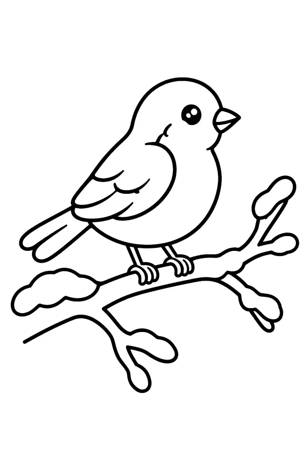 Snowy Perch Bird