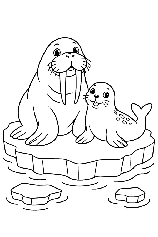 Walrus And Seal