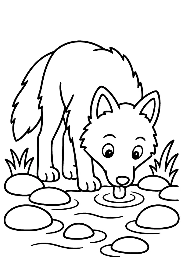 Wolf At The Stream
